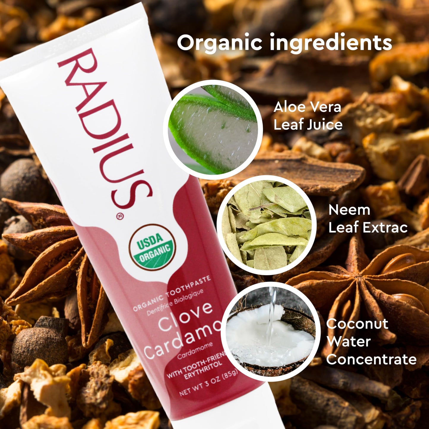 RADIUS USDA Organic Toothpaste 3oz – Clove Cardamom (Pack of 2)