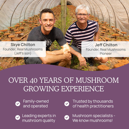 Real Mushrooms Chaga Mushroom Powder – Organic Chaga Extract (60 Servings) – Daily Wellness & Energy