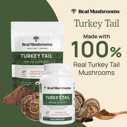 Real Mushrooms Turkey Tail Mushroom Powder – Organic Extract, 100 Servings | Vegan & Non-GMO