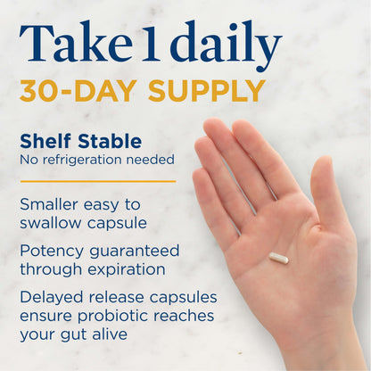 Renew Life Everyday Probiotic 15B CFU – 30 Count | L. rhamnosus GG