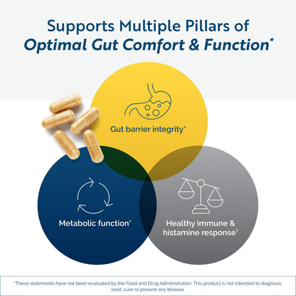 RenewGut Thrive - Gut Health Postbiotics with Pasteurized Akkermansia Muciniphila & Tributyrin | 150 Capsules