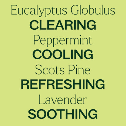 Respir Aid Essential Oil Blend 30 mL – Plant Therapy