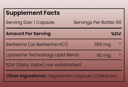 Rho Nutrition Liposomal Berberine Capsules – Ultra-High Absorption for Metabolic & Cardiovascular Health | Immune & Gut Support (60 Caps)