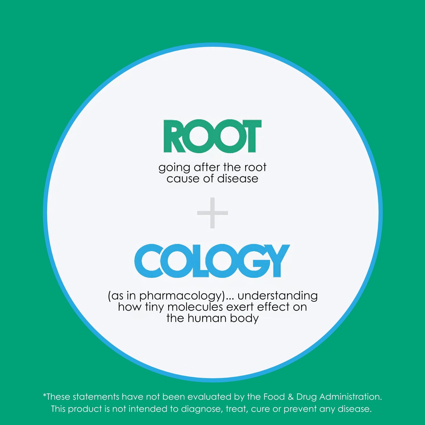 Rootcology by Dr. Izabella Wentz | S. boulardii Probiotic Capsules - Shelf-Stable 10 Billion CFU Saccharomyces | 60 Capsules