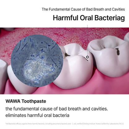 ROROBELL Wawa Toothpaste with Wasabi & Peppermint – Sensitive Teeth & Gum Health | 3.53 fl oz (Pack of 1)