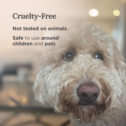 Magnificent 101 Set of 3 Sage Smudge Candles – 42-Hour Burn, 3.5 oz, Soy Wax