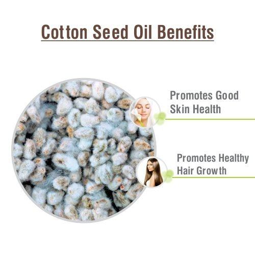 Salvia Cotton Seed Oil – 100% Pure & Natural Carrier Oil for Aromatherapy (100 ml)