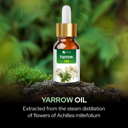 Salvia Yarrow Essential Oil – Pure & Natural Undiluted (100 ml) with Dropper | Therapeutic Grade
