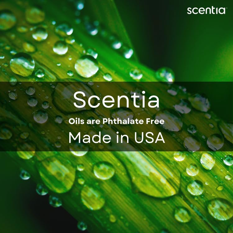 Scentia Thanksgiving Blend Essential Oil – 50ml | Holiday Aromatherapy, Cinnamon, Clove, Vanilla & Coconut