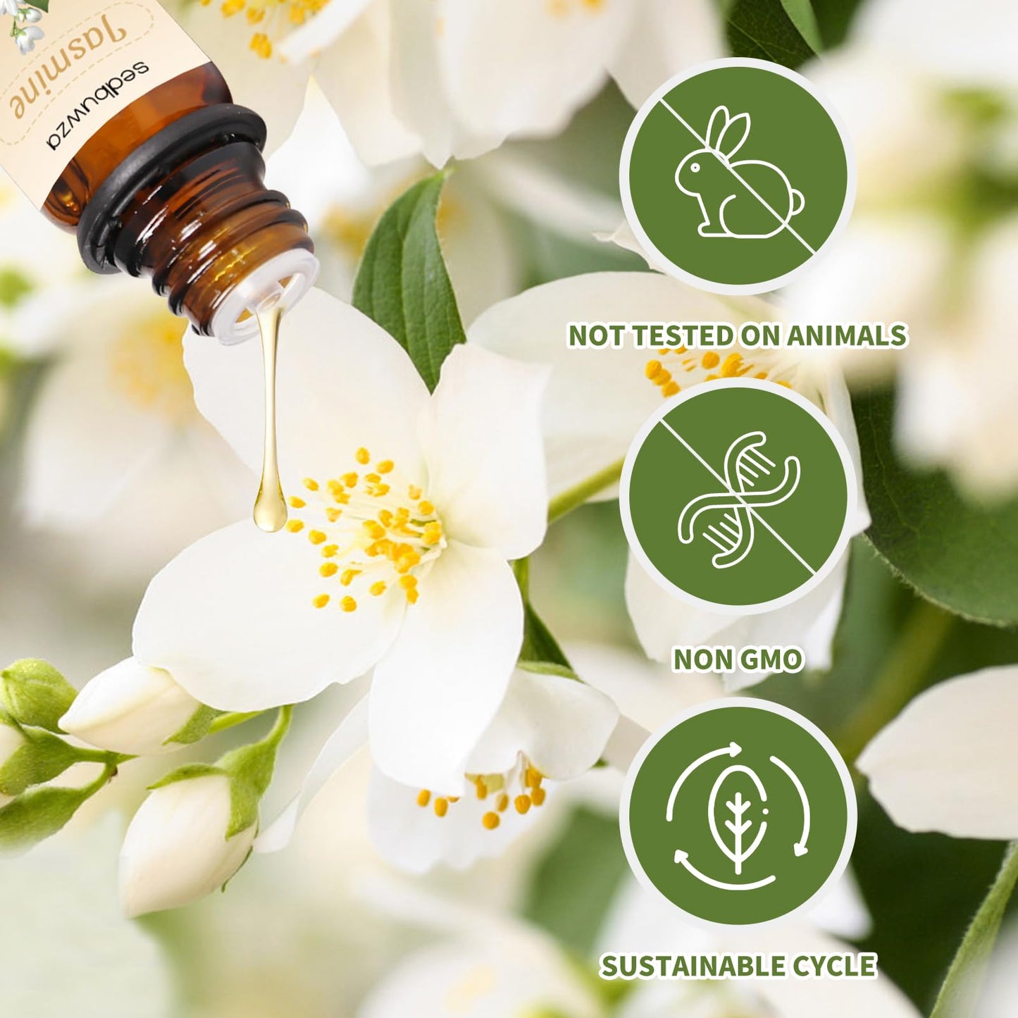 Sedbuwza Sandalwood & Jasmine Essential Oil Set – 2 x 10 ml for Diffuser