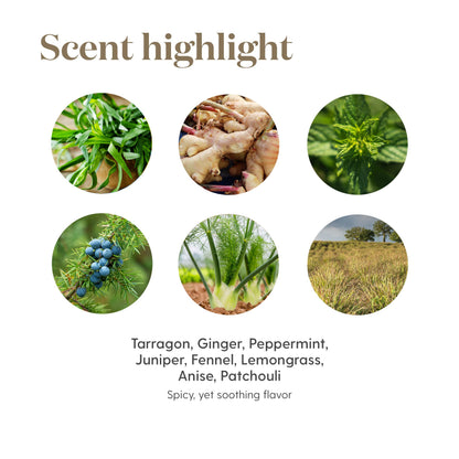 Digize Essential Oil 5ml by Young Living Essential Oils