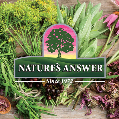 Nature's Answer Shiitake Mushroom Extract - Alcohol Free, 1 Fl Oz | Immune Support & Wellness