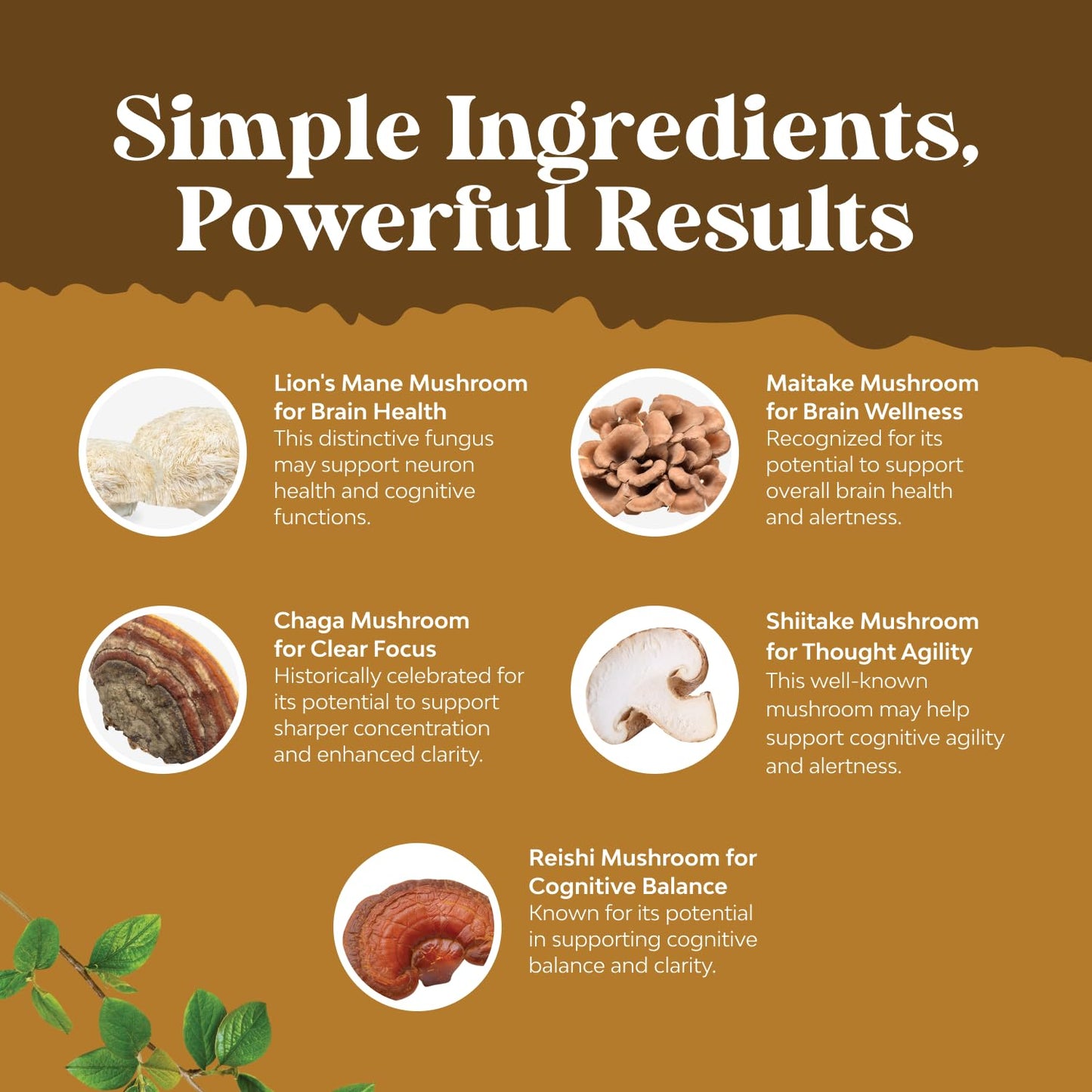 Advanced Lion's Mane Mushroom Supplement with Reishi, Chaga, Maitake & Shiitake – Brain Health, Memory & Focus - 60 Caps