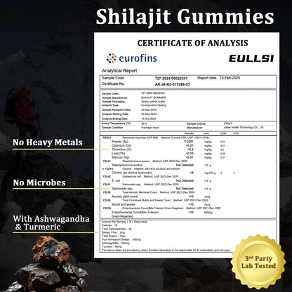 Pure Himalayan Shilajit Gummies with Ashwagandha – 120 Count