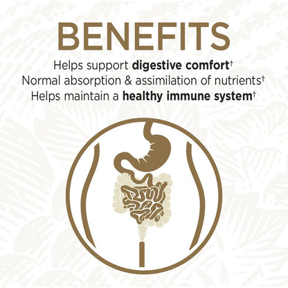 Garden of Life Primal Defense Ultra Probiotics – 15B CFU, 13 Strains, HSO, Vegetarian, 60 Capsules