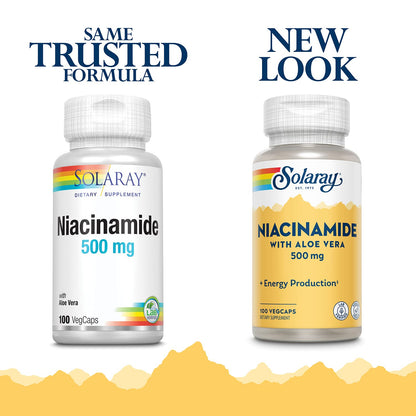 SOLARAY Niacinamide 500 mg | Vitamin B-3 | Energy Metabolism, Circulation, Nerve & Skin Health Support, 100 CT