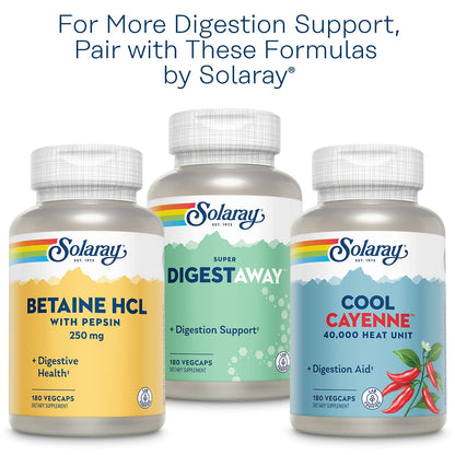 SOLARAY Organic Ginger 1080 mg - Motion Sickness Relief & Joint Health - Vegan