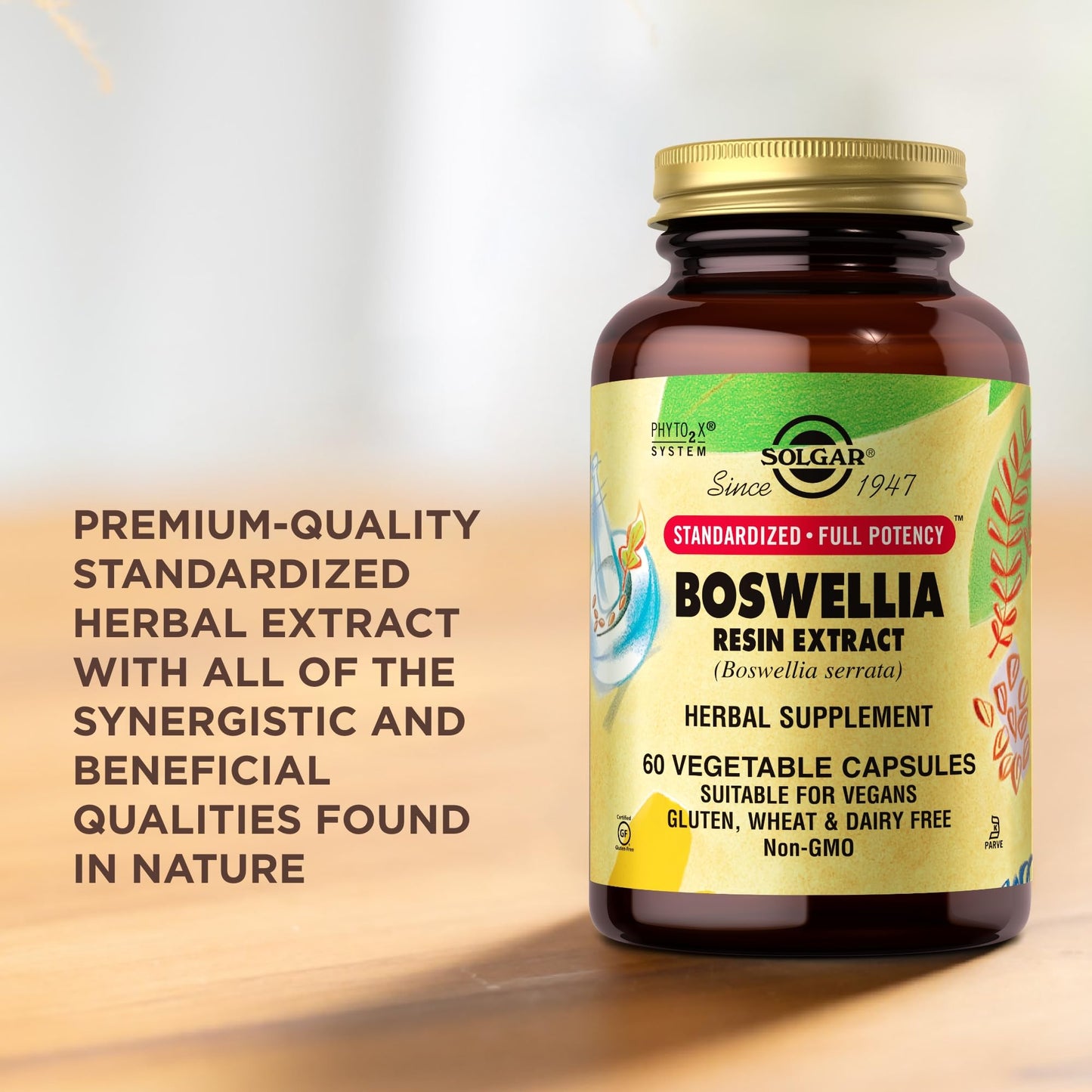 SOLGAR Boswellia Resin Extract Vegetable Caps, 60 CT - Standardized Herbal Extract