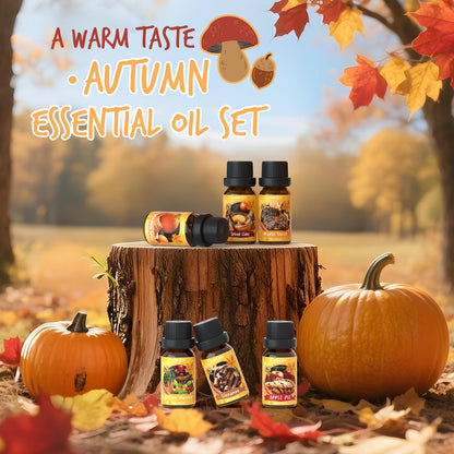 Soulorigin Autumn Fragrance Oils Set | Pumpkin Spice, Apple Pie, Cinnamon for Diffusers & Candles