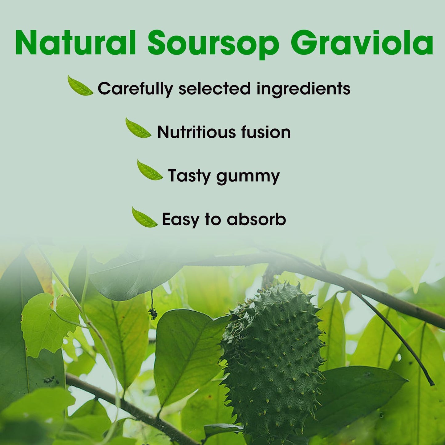 Soursop Graviola Gummies - Green Apple Flavor - 60 Gummies
