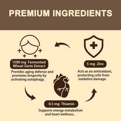 Spermidine Supplement 15 MG - 99% Purity, High Absorption, 1500 MG Fermented Wheat Germ Extract with Zinc & Thiamin, Spermidine for Men & Women - Cellular Renewal, Aging Defense, Energy, 120 Softgels