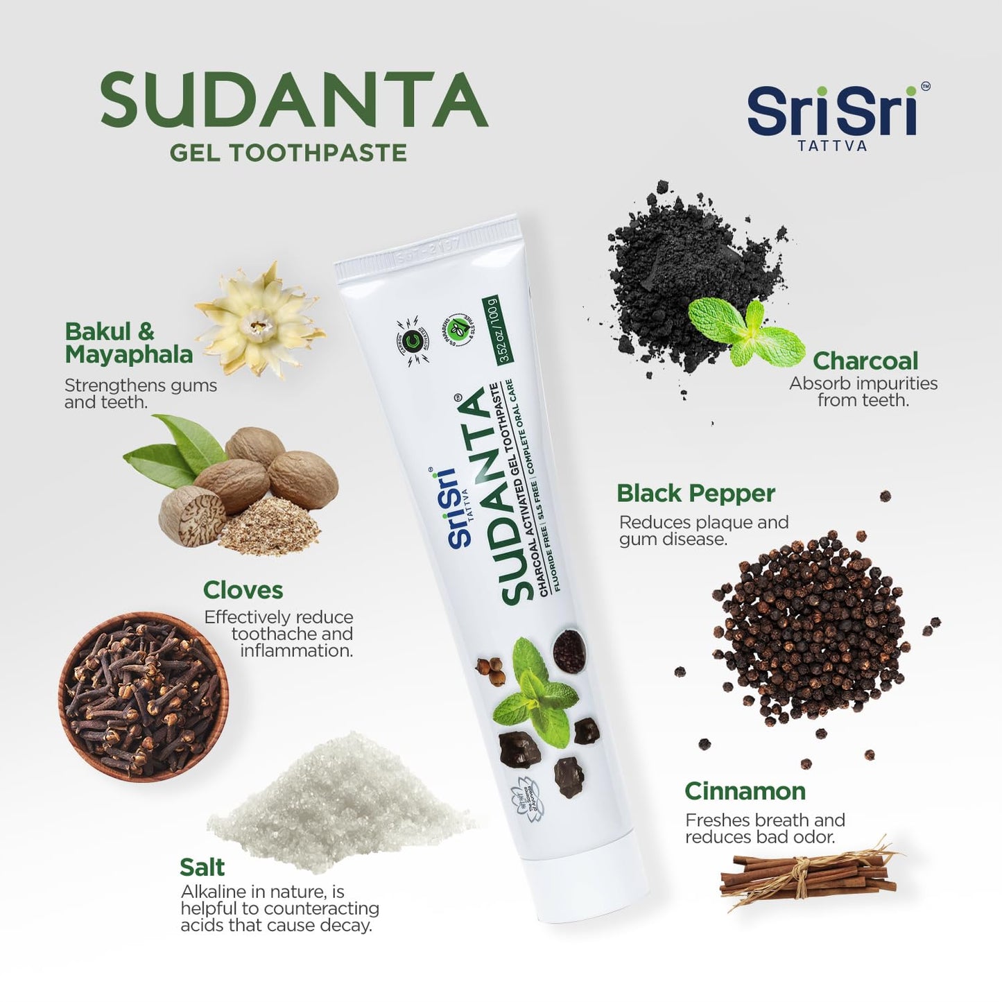 Sri Sri Tattva Sudanta Charcoal Toothpaste Gel – SLS Free & Fluoride Free Herbal Toothpaste with Neem & Ayurvedic Herbs – Natural Whitening & Gum Care – 100 g Tube (Pack of 1)