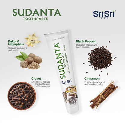 Sri Sri Tattva Sudanta Herbal Toothpaste – SLS Free & Fluoride Free | 200 g Pack of 3