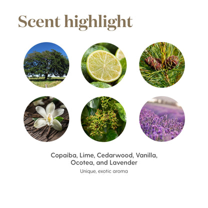 Young Living Stress Away Essential Oil Blend - 5 ml | Copaiba, Lime, Lavender & Vanilla