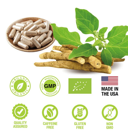 SUPREME HERBALS Organic Ashwagandha Capsules 500 mg with KSM-66® & L-Theanine – 120 Veggie Capsules