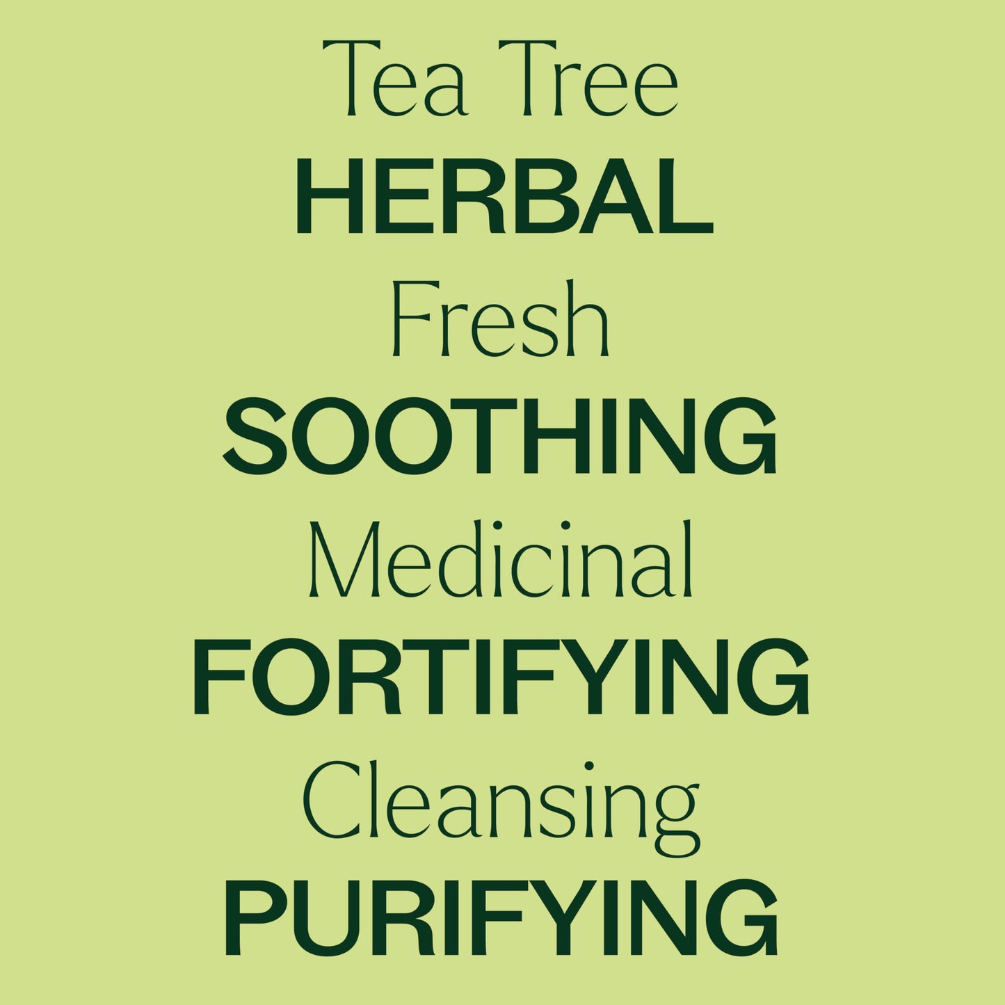 Plant Therapy Tea Tree Essential Oil 30 mL – 100% Pure & Therapeutic Grade