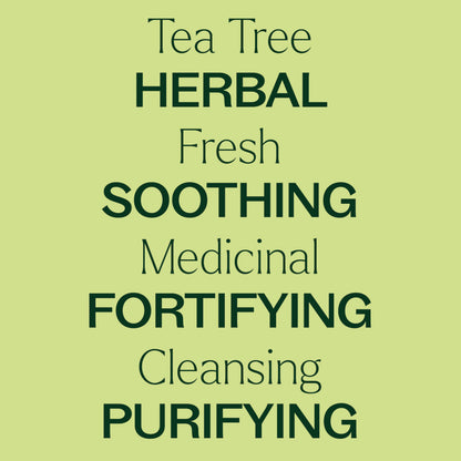 Plant Therapy Tea Tree Essential Oil 30 mL – 100% Pure & Therapeutic Grade
