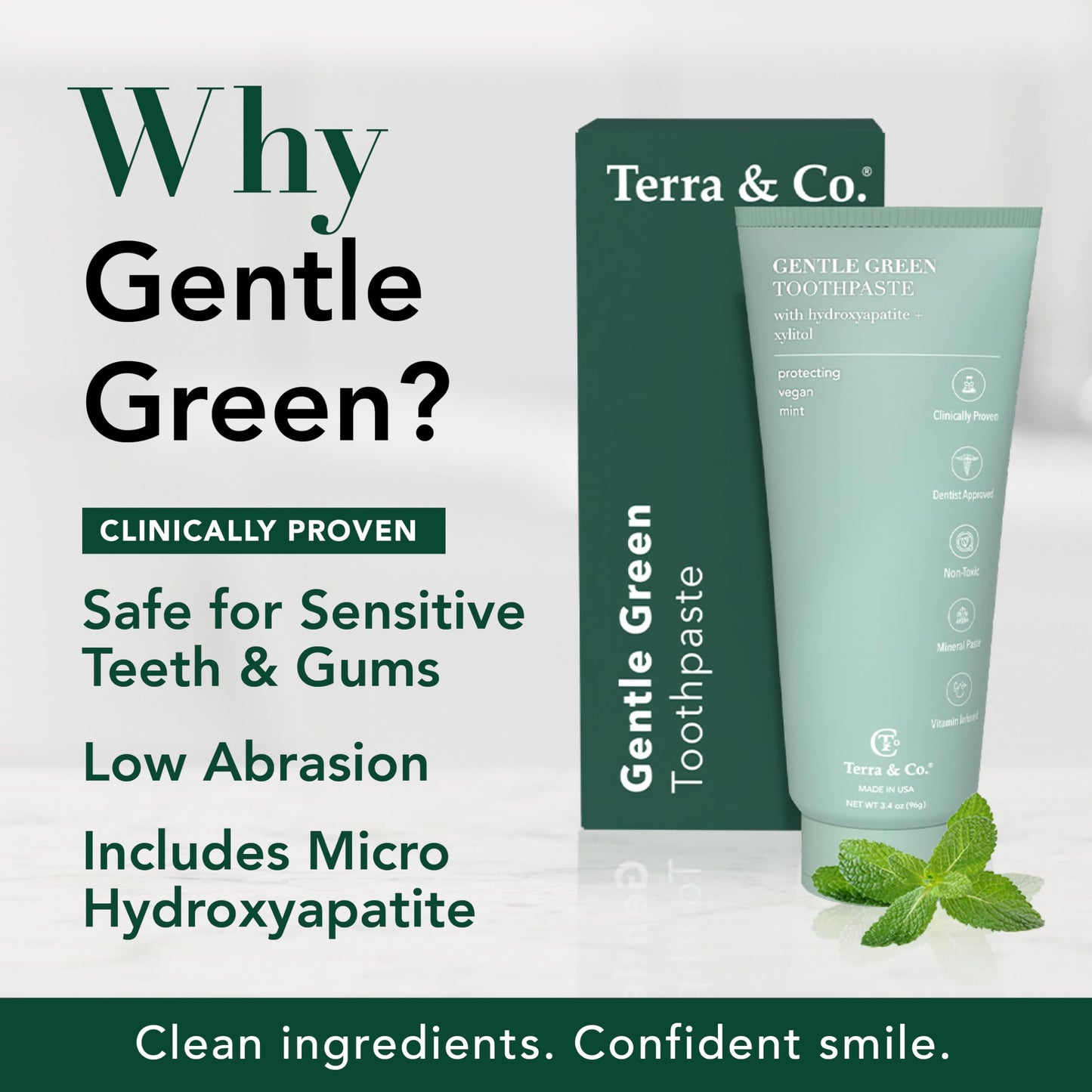 Terra & Co. Gentle Green Micro-Hydroxyapatite Toothpaste for Sensitive Teeth – USA-Made, Fluoride-Free, Vitamin B12, Mint, 3.4 oz
