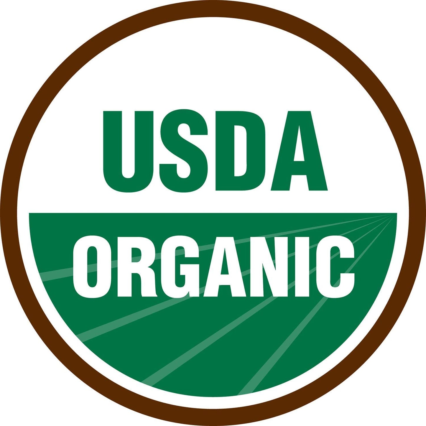 Terrasoul Reishi Mushroom Powder 4:1 Extract – 11 oz (2 Pack) – Organic
