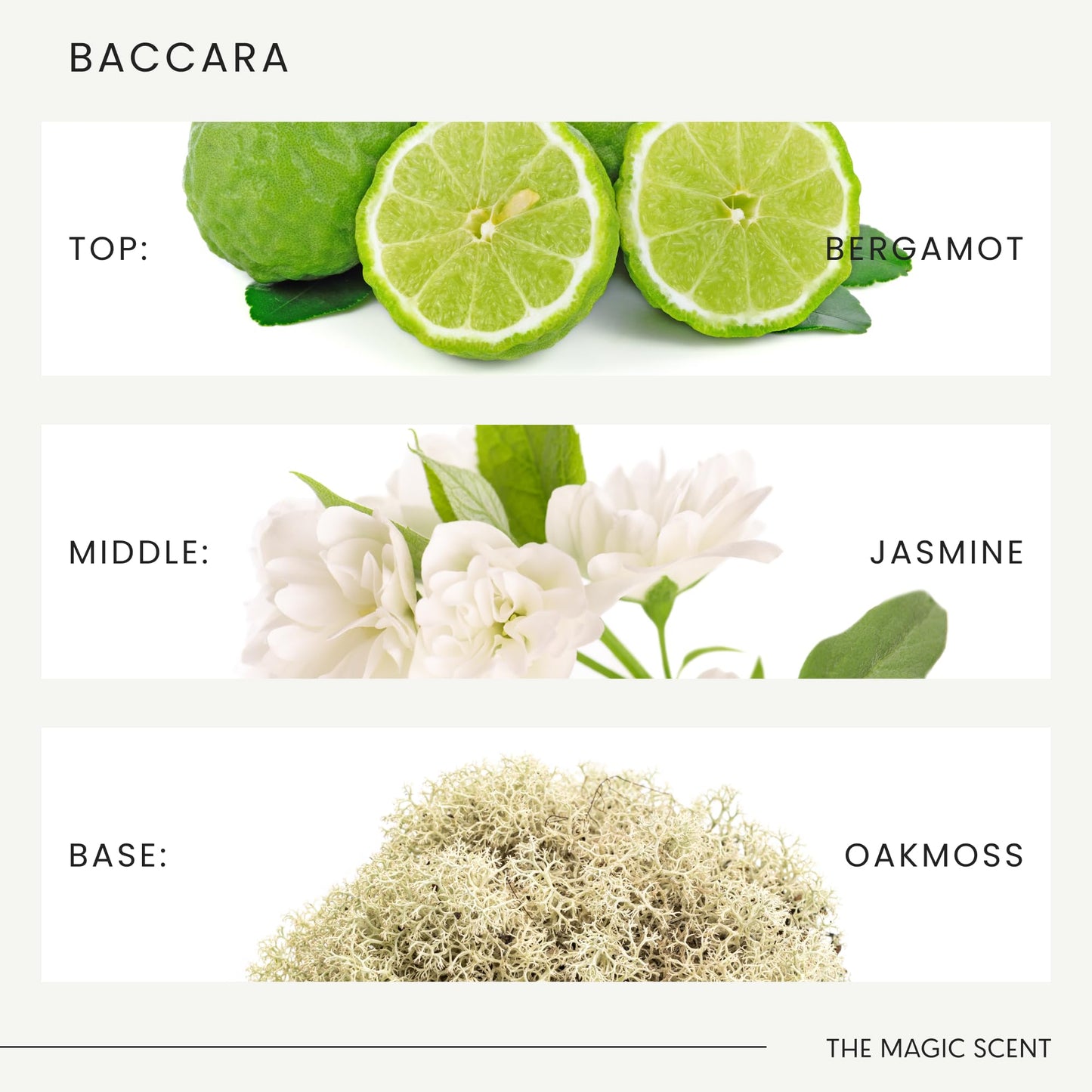Baccara Diffuser Oil - Luxury Hotel & Home Scents Inspired by Baccarat Rouge