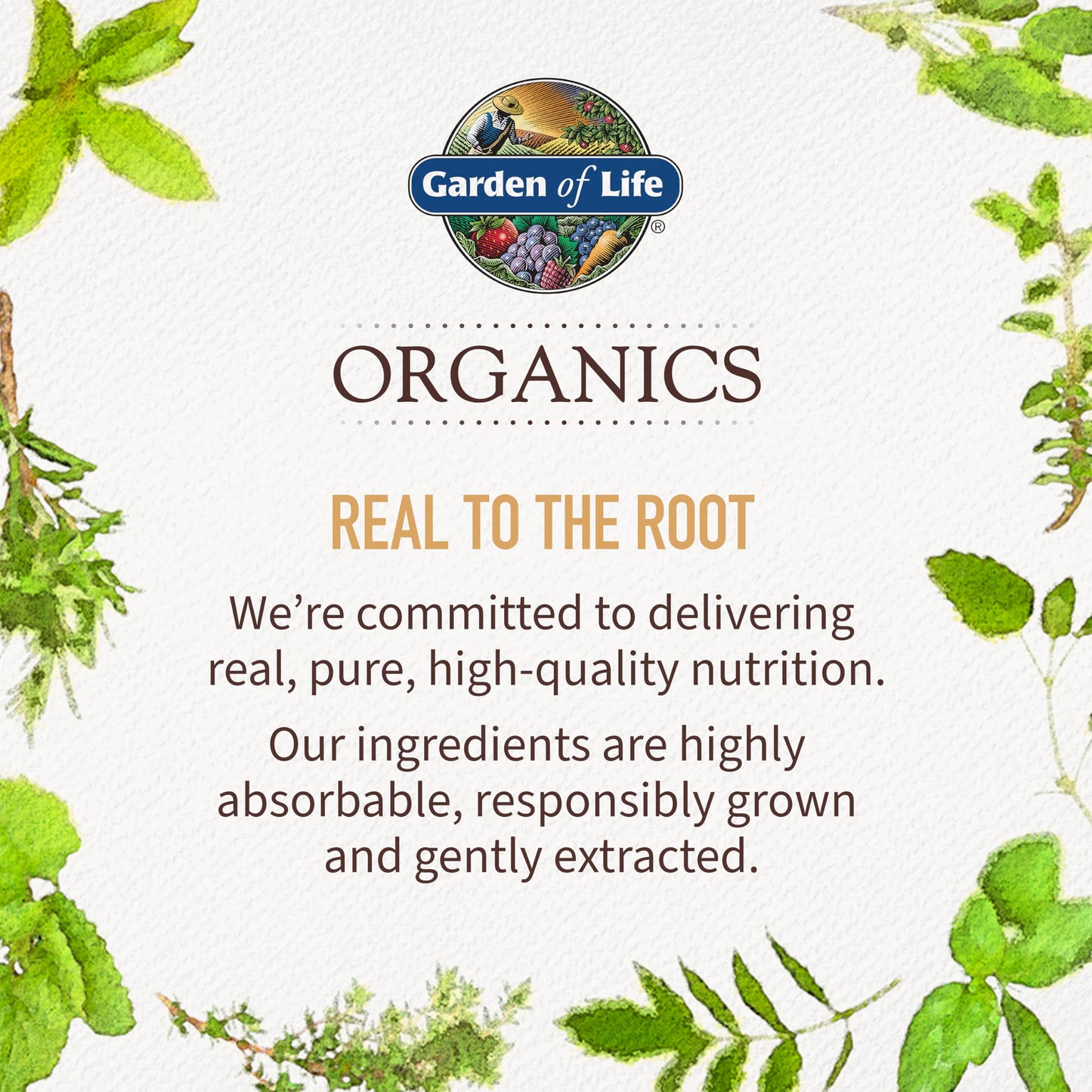 Garden of Life Organics Women’s Multivitamin – One Daily, Organic, Vegan (Iron 2.5mg) 60 Tablets