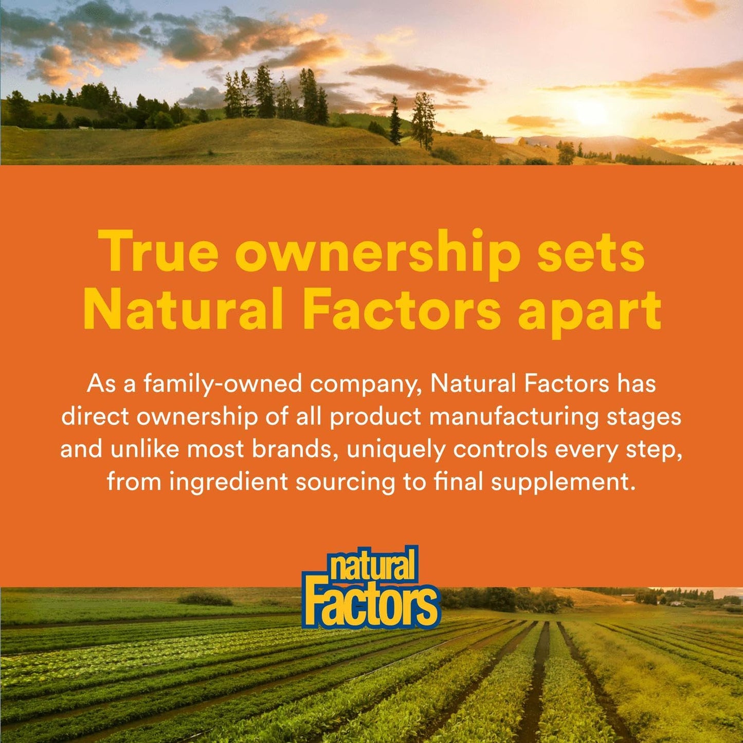 Natural Factors SAMe 200 mg – Mood Support & Joint Health, 60 Tablets
