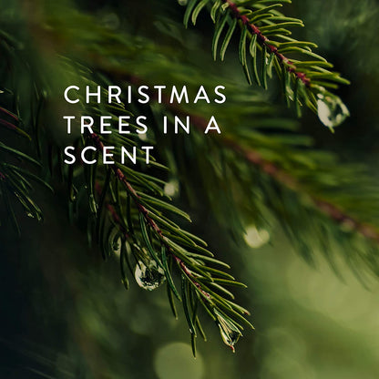 Thymes Travel Tin Holiday Candle - Frasier Fir (2.5 oz) - Gold | Winter Scent Gift