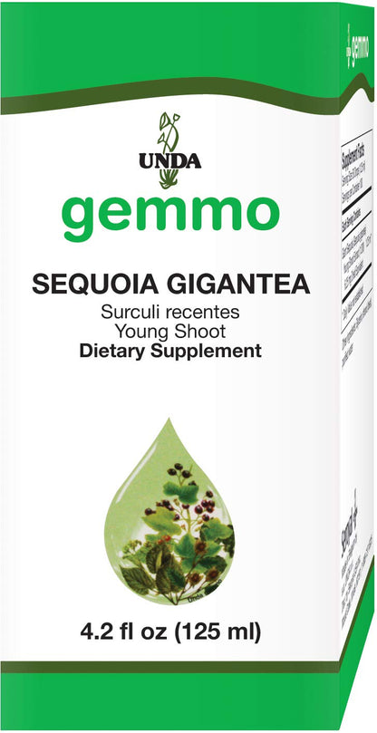 UNDA Gemmo Therapy Sequoia Gigantea – Giant Sequoia Young Shoot Extract | 4.2 fl oz