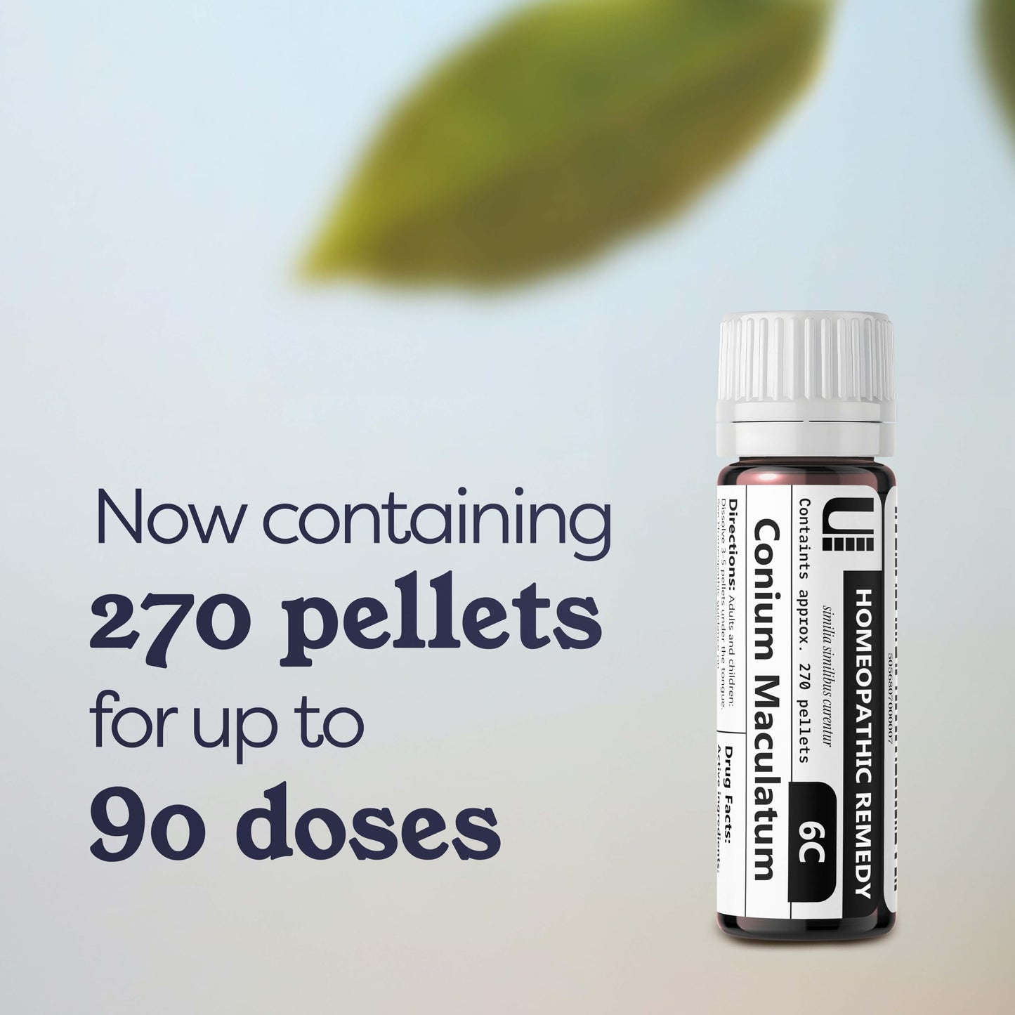 Conium Maculatum 6C Homeopathic Remedy, 270 Pellets | Urenus