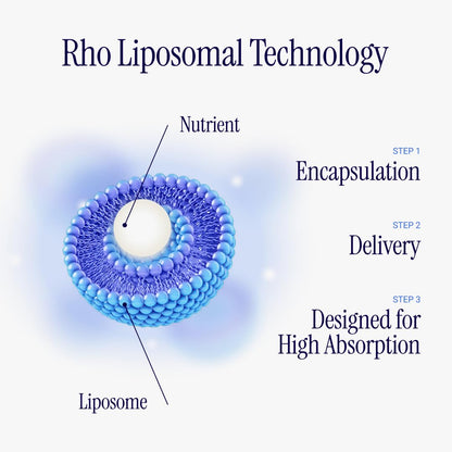 Rho Nutrition Liposomal Berberine Capsules – Ultra-High Absorption for Metabolic & Cardiovascular Health | Immune & Gut Support (60 Caps)