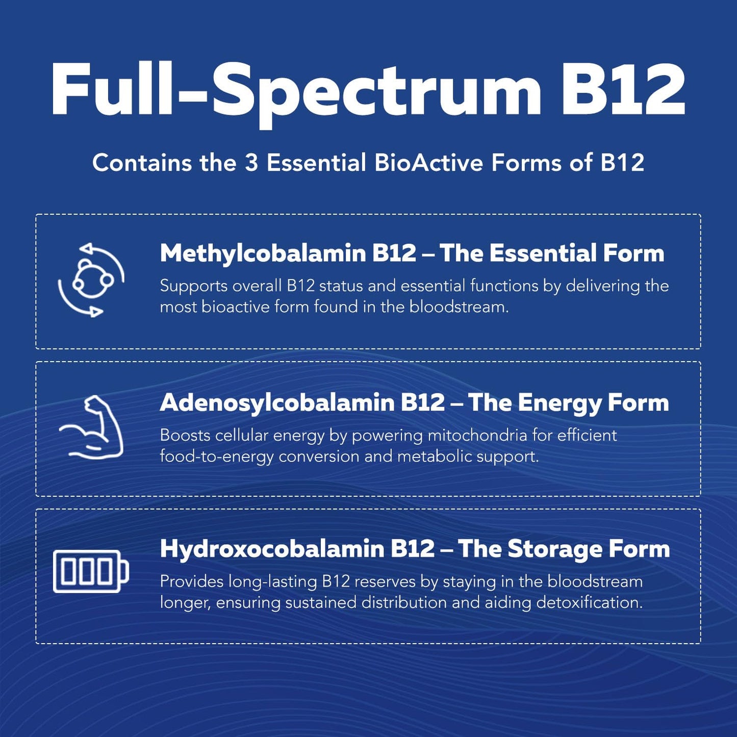 BioActive Vitamin B Complex - Liquid 4 oz | Methylated B Vitamins