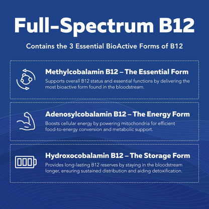 BioActive Vitamin B Complex - Liquid 4 oz | Methylated B Vitamins