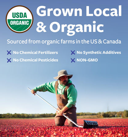 USDA Organic Cranberry Concentrate Powder (50:1) 500mg - 25,000mg Fresh Cranberries Equivalent | Kidney & Urinary Health | Women Supplement | 100 Servings