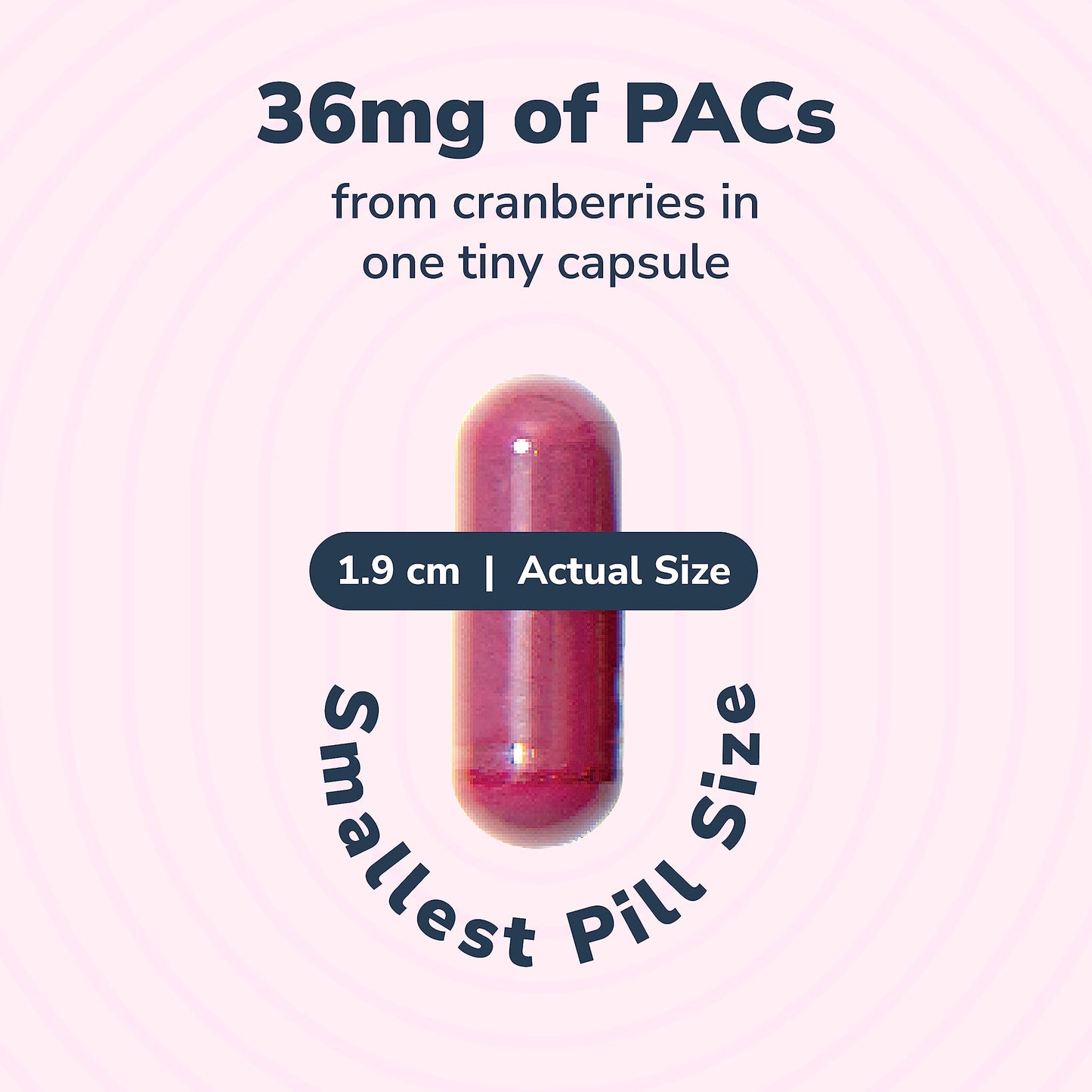 Szio+ Utiva Cranberry PACs – 36 mg PACs for UTI Support | 90 Veggie Capsules