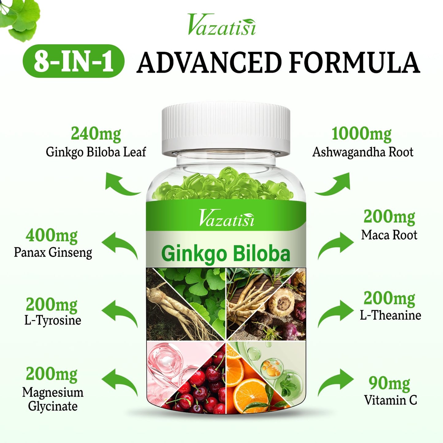 Vazatisi 2 Pack Ginkgo Biloba Gummies 240MG with Panax Ginseng – Mood, Focus & Brain Health (Apple Flavor)