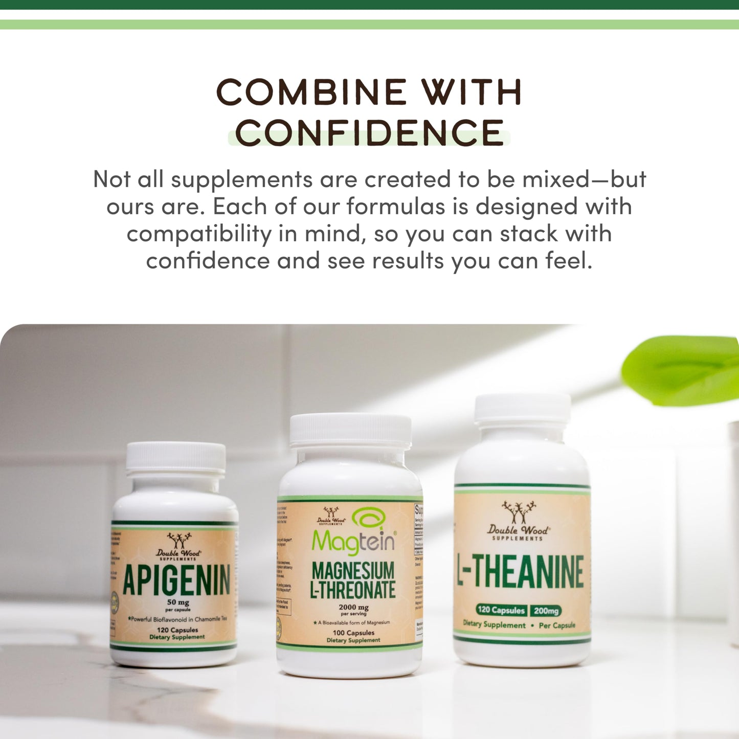 Berberine with Ceylon Cinnamon – 120 Capsules | Metabolic Health