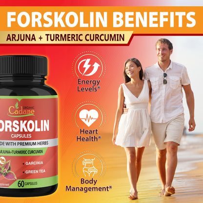 Forskolin Supplements Capsules with Turmeric Curcumin, Arjuna, Garcinia Cambogia, Green Tea – 60 Capsules
