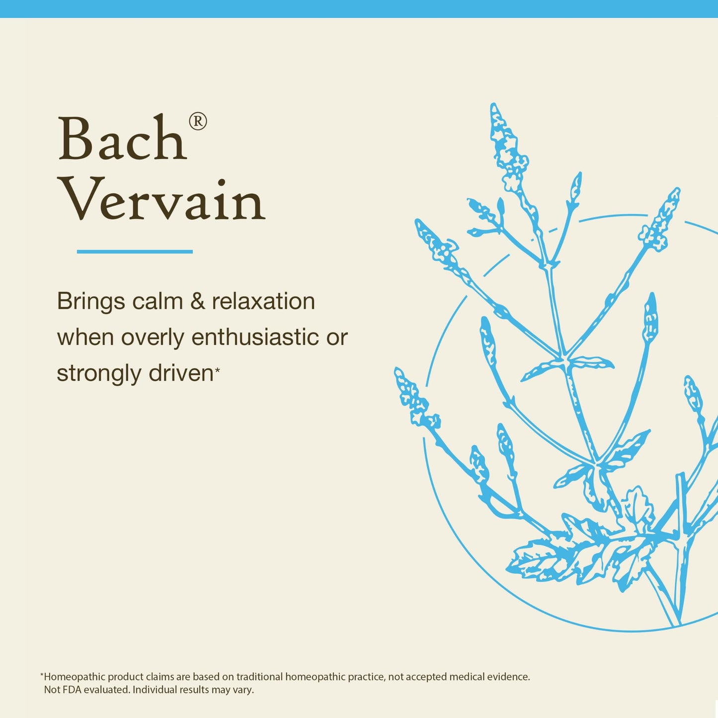 Bach Flower Remedies Vervain – Flowers of Essence 0.7 oz | Emotional Balance