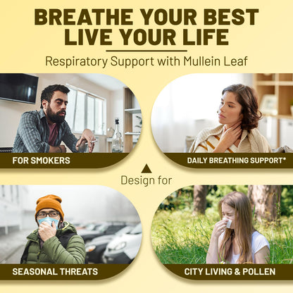 vivcmin Mullein Drops for Lungs with Licorice & Astragalus, Respiratory & Immune Support, Lung Detox for Smokers Tincture, Mullein Leaf Extract for Lung Cleanse, Sugar & Alcohol-Free, 4 fl oz