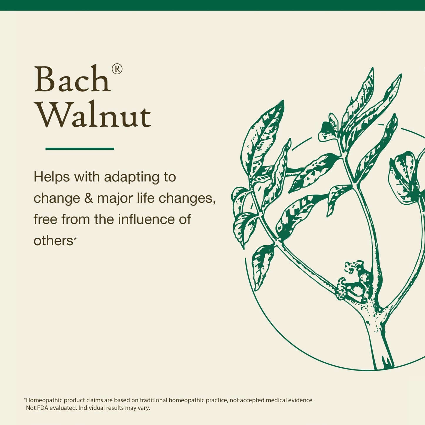 Walnut Bach Original Flower Remedies | Adapt to Change & Emotional Balance, 20mL Dropper